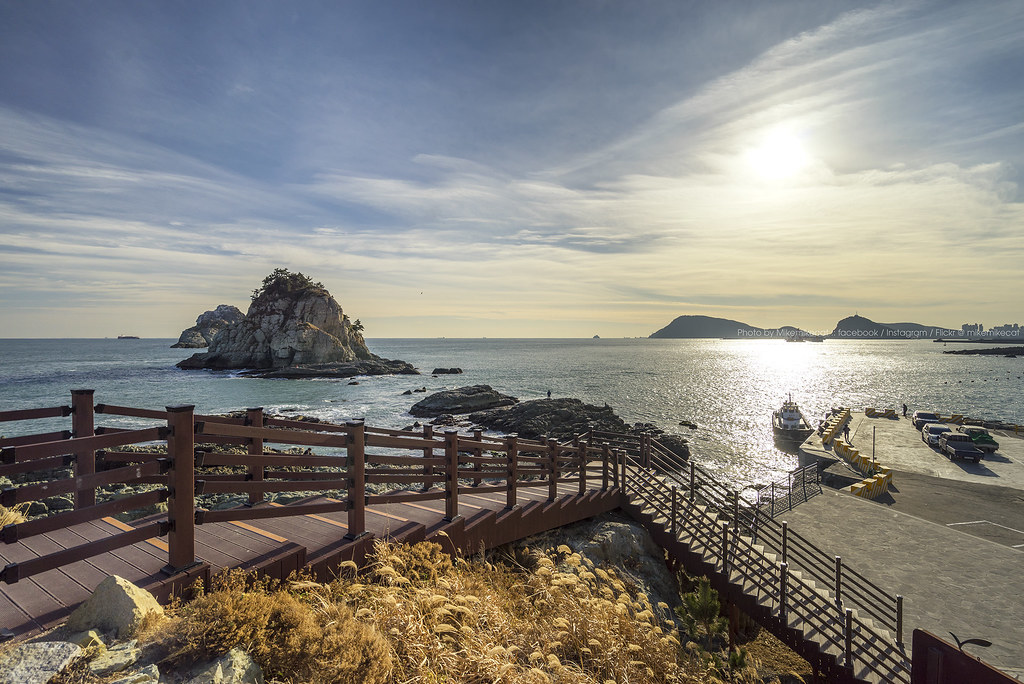 41069513150_8a2c1b3b77_b