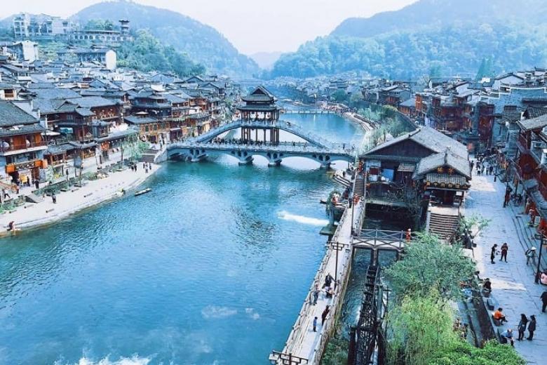 780_crop_phuong-hoang-co-tran_1