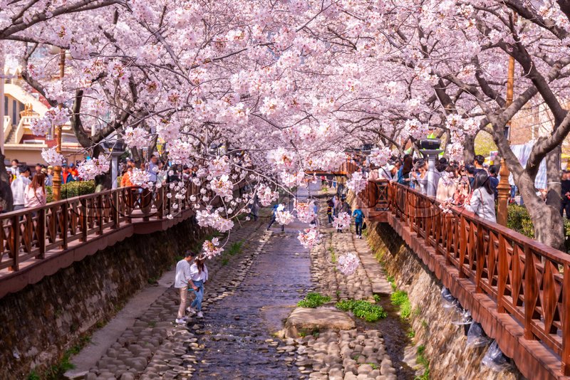 800px_COLOURBOX36750052