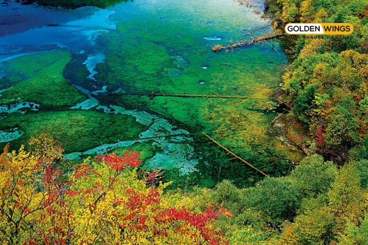 Cửu Trại Câu, Nga Mi Sơn, Thành Đô – Tour khám phá Tứ Xuyên Trung Quốc