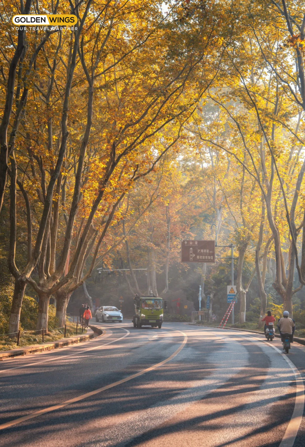 Đại lộ ngô đồng 4