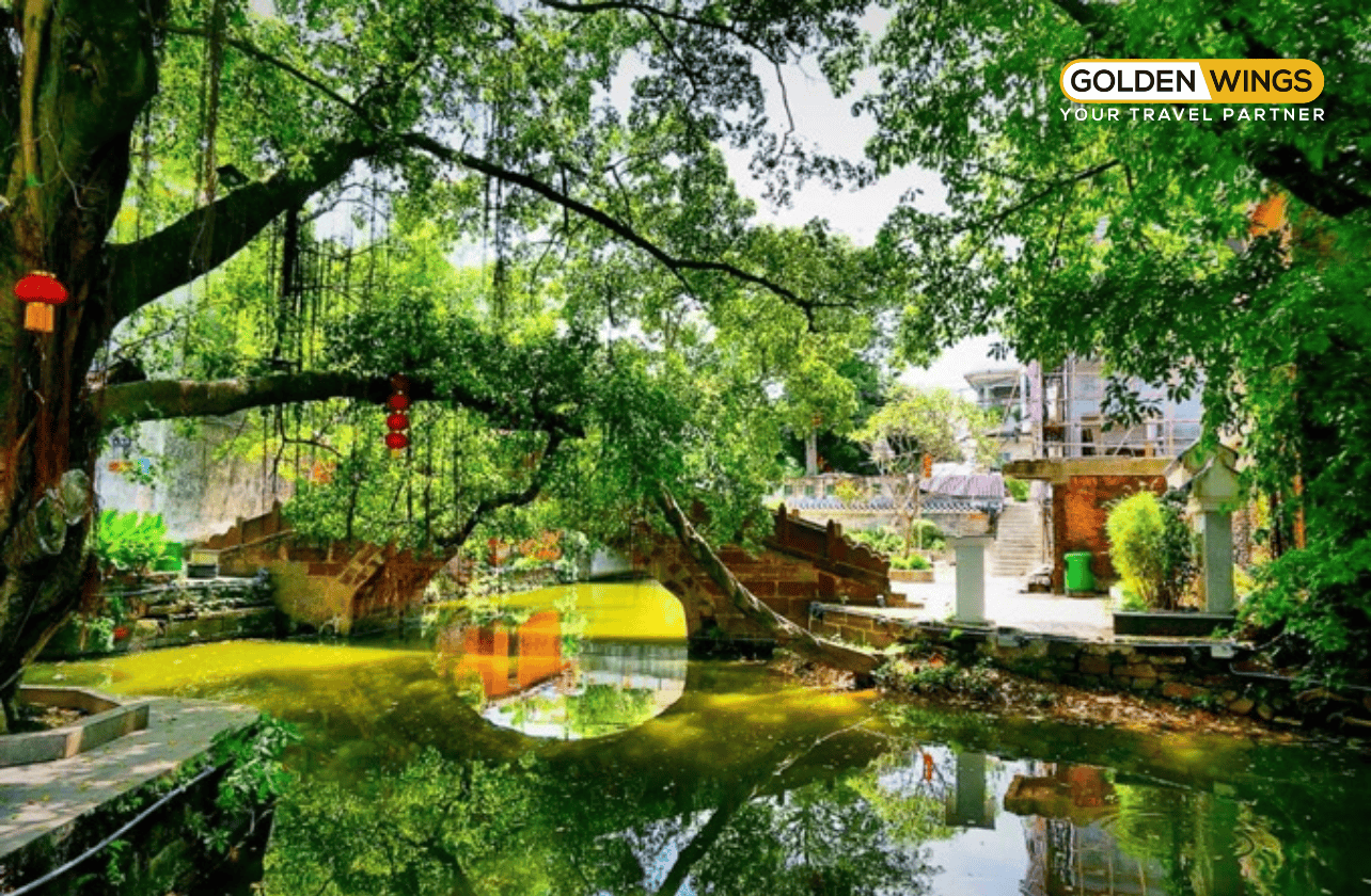 HONGKONG – QUẢNG CHÂU – PHẬT SƠN 5 NGÀY 4 ĐÊM – BẢN GIAO HƯỞNG ĐÔNG TÂY