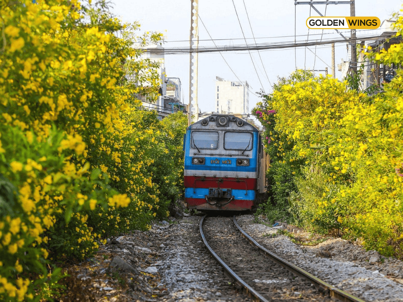 Tuyến đường sắt Thống Nhất Việt Nam – Số 1 thế giới trong ấn bản Amazing Train Journeys 2025 của Lonely Planet