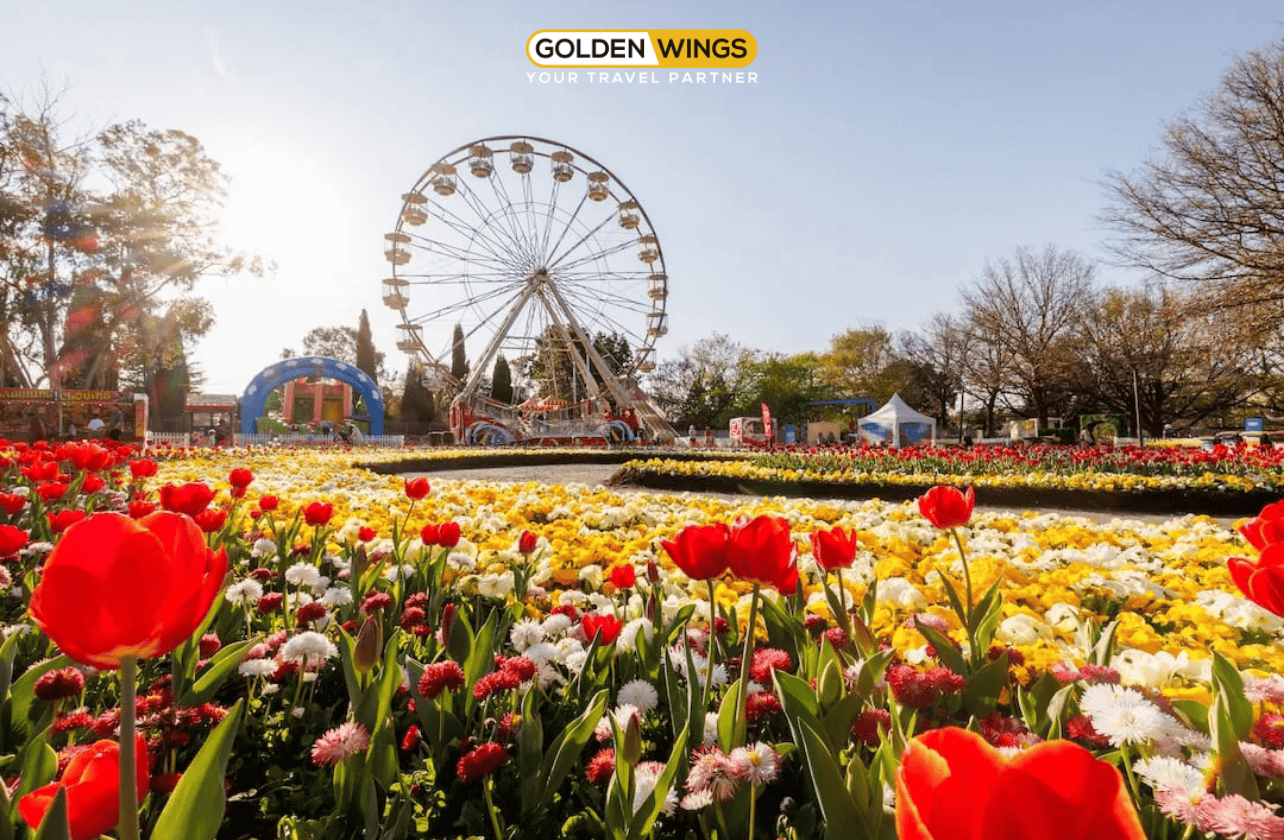 Du Lịch Úc Mùa Xuân 2025 | Melbourne – Canberra – Sydney | Lễ Hội Hoa Floriade Lớn Nhất Nam Bán Cầu