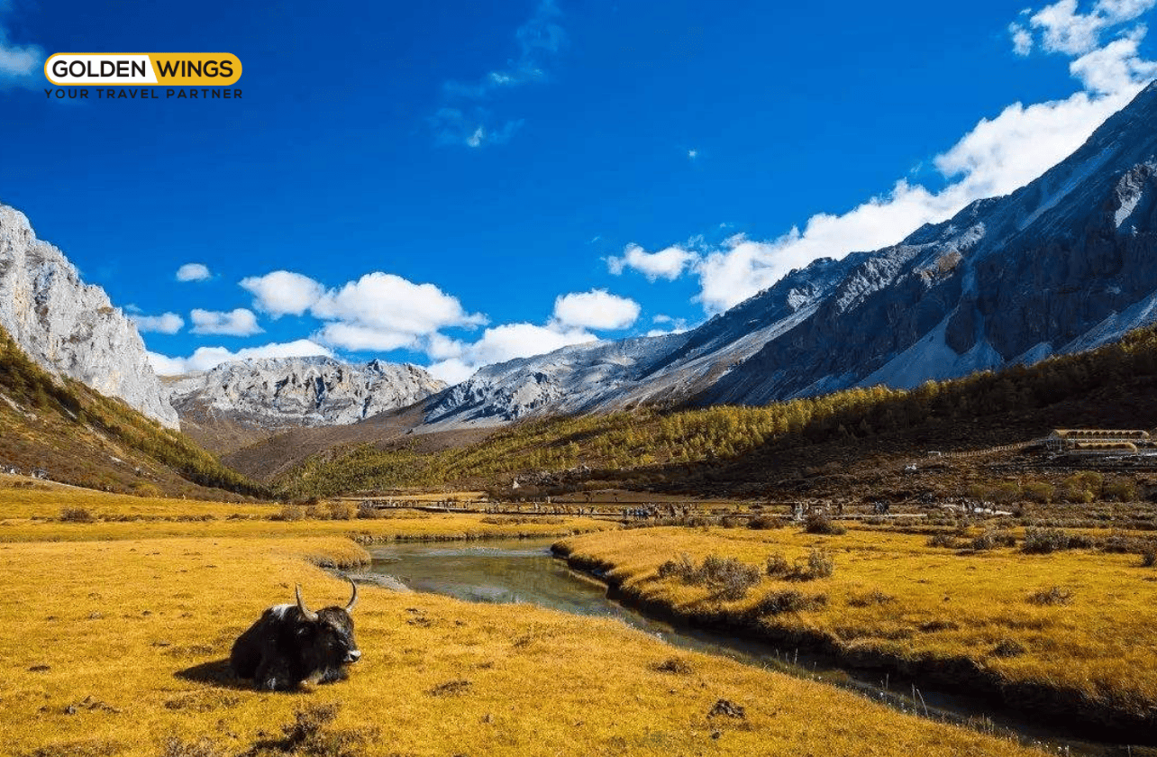 THÀNH ĐÔ – ĐẠO THÀNH – Á ĐINH 8 NGÀY 7 ĐÊM – GIÓ CÓ HẸN VỚI NGÀN NĂM