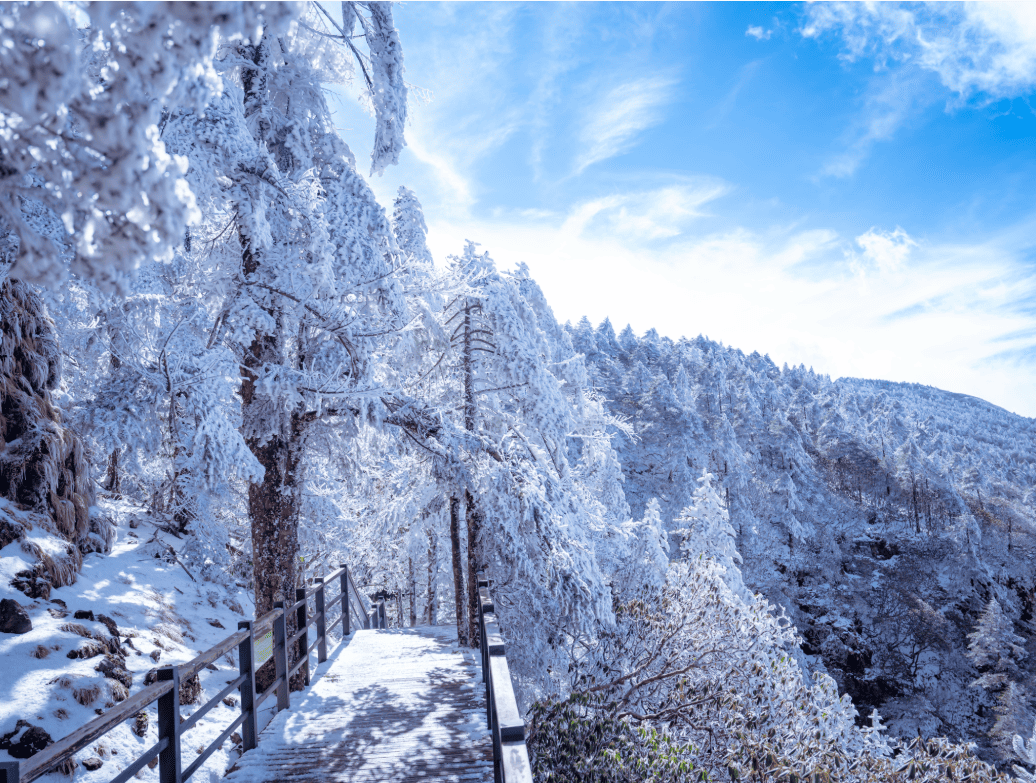 CÔN MINH – KIỆU TỬ TUYẾT SƠN  4 Ngày 3 Đêm – HÙNG VĨ TUYẾT SƠN VÂN NAM