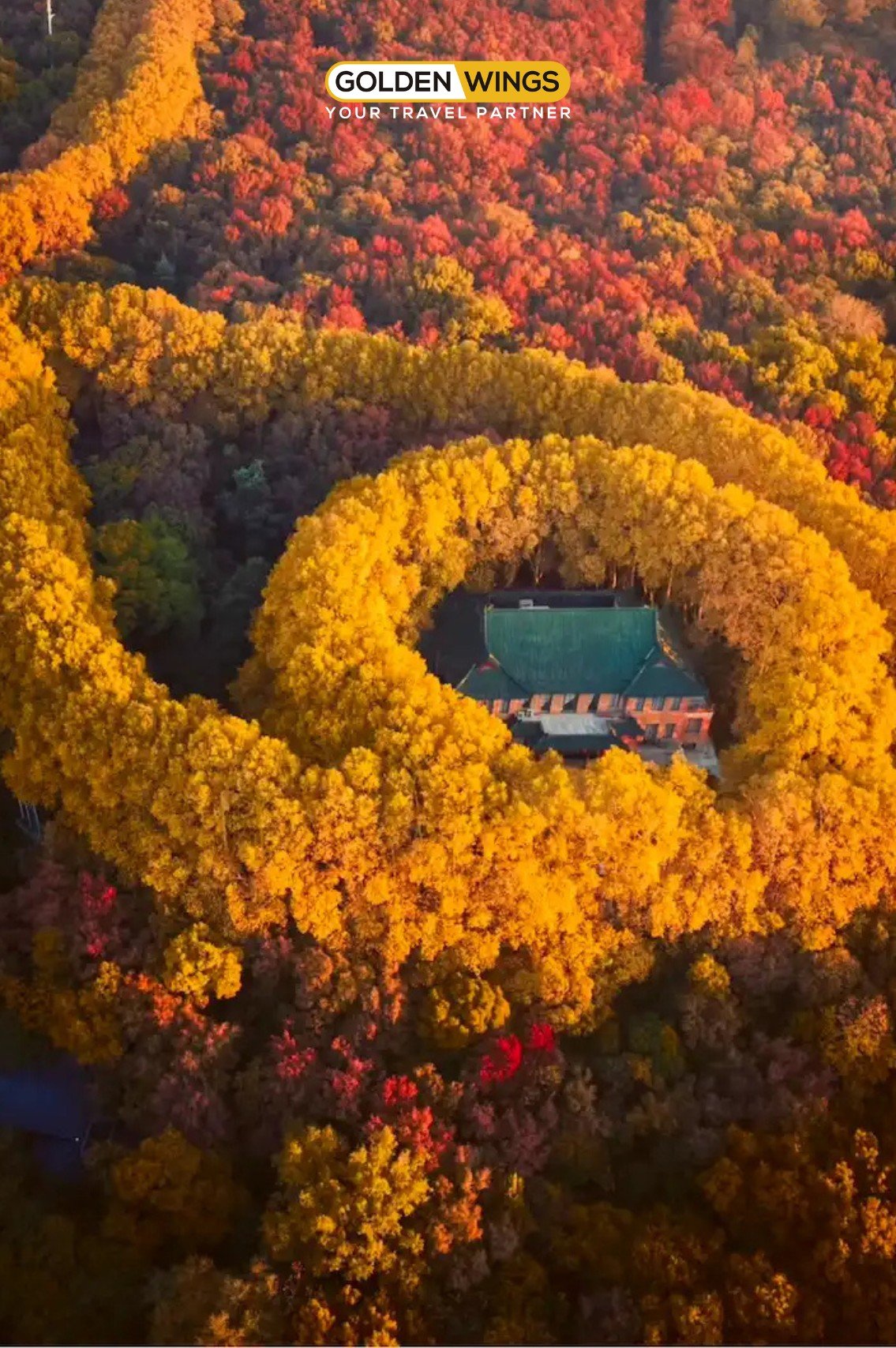 NAM KINH – THƯỢNG HẢI – HÀNG CHÂU – Ô TRẤN – 5N4Đ (NO SHOPPING)