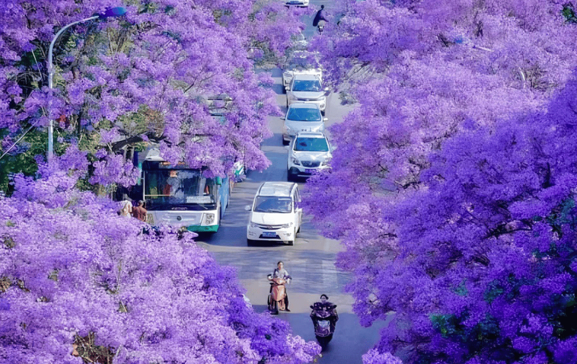 CÔN MINH – LỆ GIANG – ĐẠI LÝ  5 NGÀY 4 ĐÊM – HÀNH TRÌNH XUYÊN MÂY TRẮNG