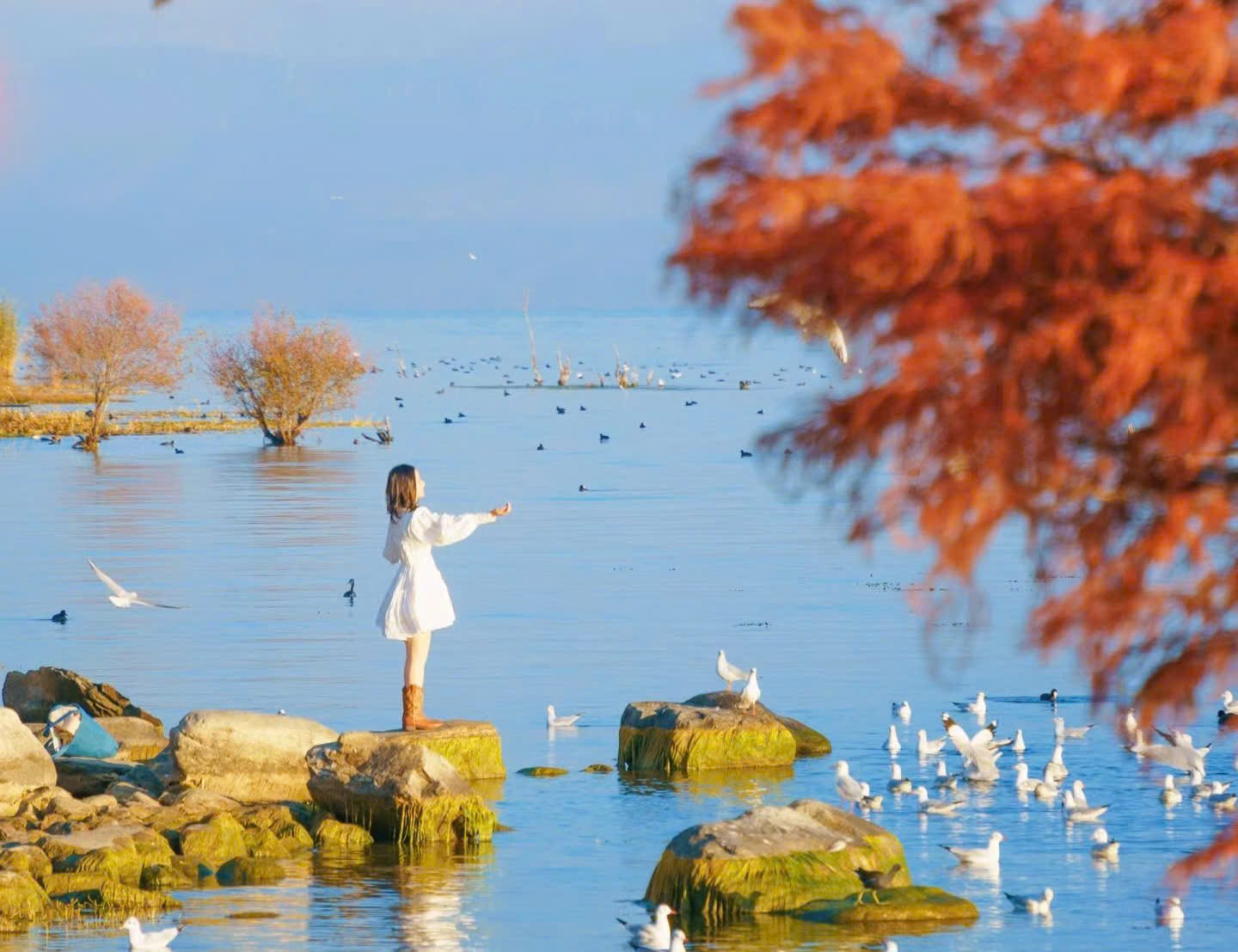 CÔN MINH – LỆ GIANG – ĐẠI LÝ  5 NGÀY 4 ĐÊM – HÀNH TRÌNH XUYÊN MÂY TRẮNG