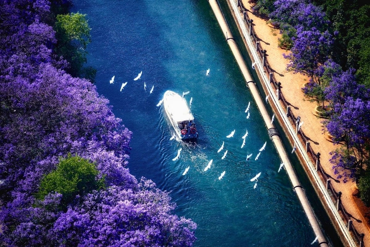 CÔN MINH – LỆ GIANG – ĐẠI LÝ  5 NGÀY 4 ĐÊM – HÀNH TRÌNH XUYÊN MÂY TRẮNG