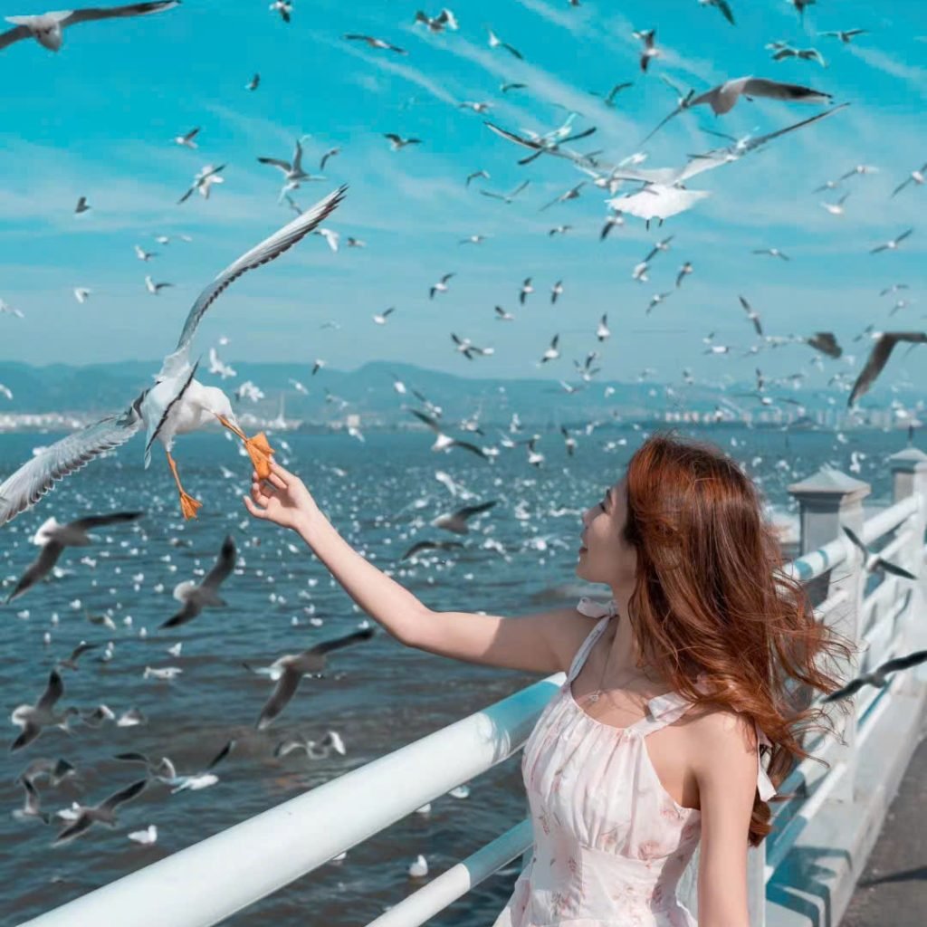 CÔN MINH – KIỆU TỬ TUYẾT SƠN  4 Ngày 3 Đêm – HÙNG VĨ TUYẾT SƠN VÂN NAM