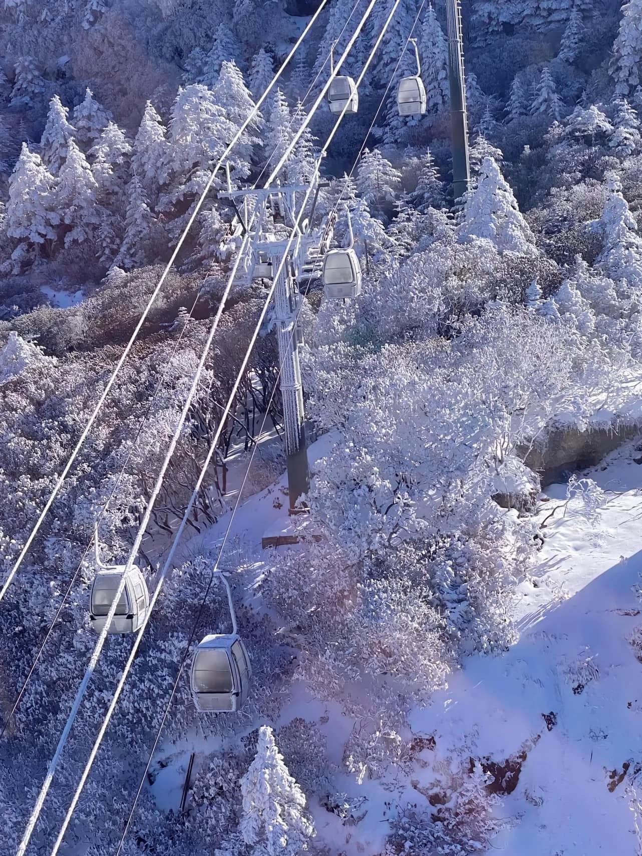 CÔN MINH – KIỆU TỬ TUYẾT SƠN  4 Ngày 3 Đêm – HÙNG VĨ TUYẾT SƠN VÂN NAM