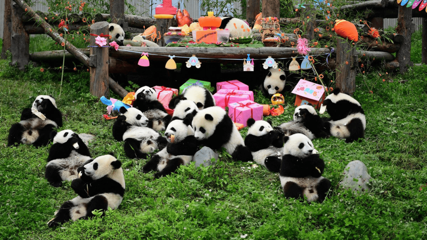 TRÙNG KHÁNH – THÀNH ĐÔ – CỬU TRẠI CÂU – NGA MI – 7 NGÀY 7 ĐÊM