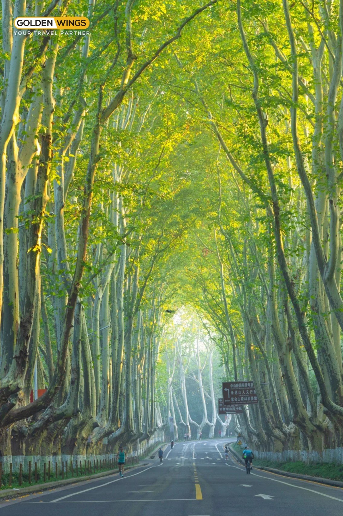 NAM KINH – THƯỢNG HẢI – HÀNG CHÂU – Ô TRẤN – 5N4Đ (NO SHOPPING)