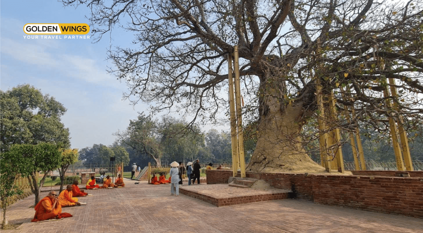 ẤN ĐỘ – NEPAL  TÌM VỀ CỘI NGUỒN PHẬT PHÁP