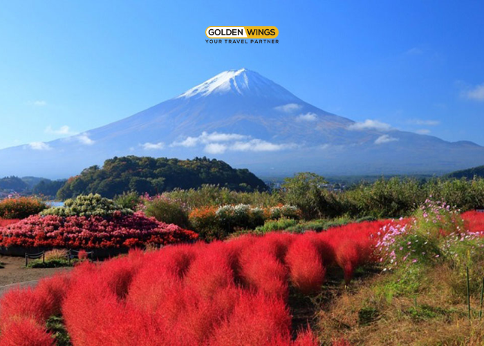 OSAKA – KYOTO – NAGOYA – FUJI – YAMANASHI – NHẬT BẢN TINH HOA