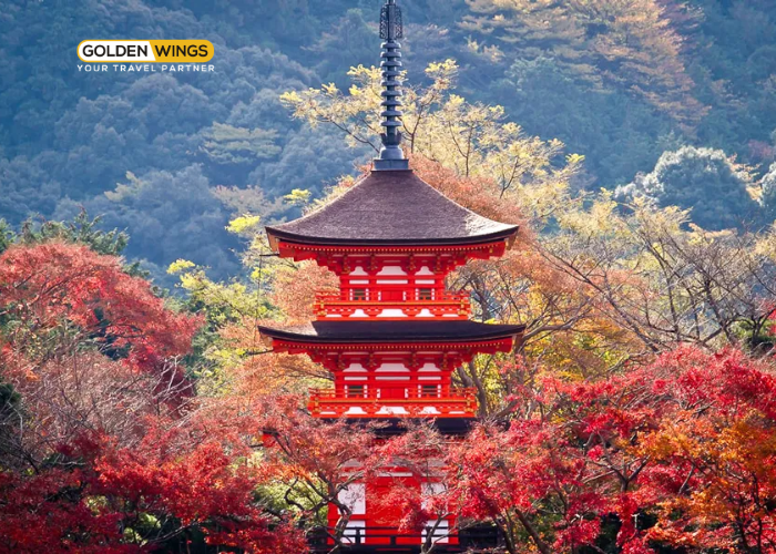 OSAKA – KYOTO – NAGOYA – FUJI – YAMANASHI – NHẬT BẢN TINH HOA